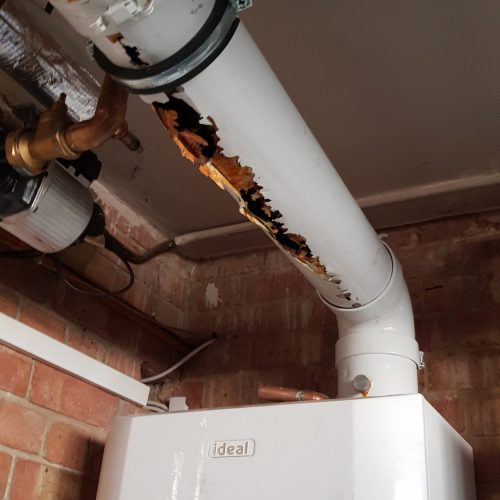 Why is My boiler Making a Noise like a Trumpet Cowley Group